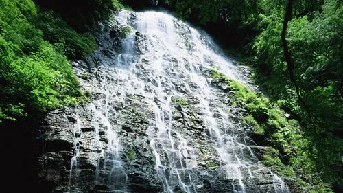 智能稳定性高端